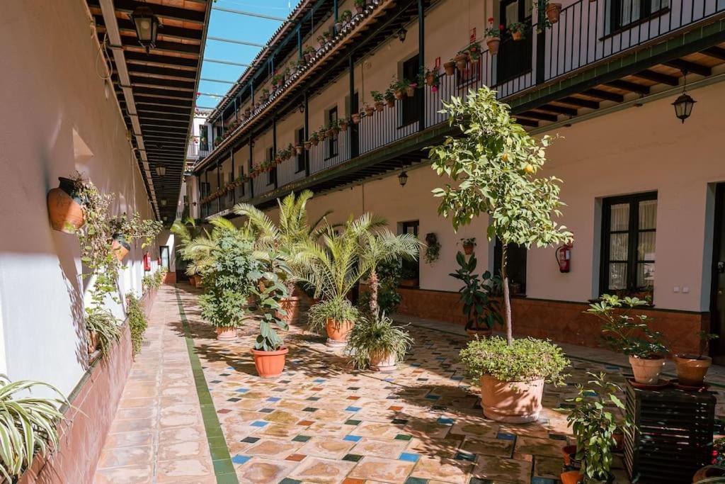 Apartamento Con Encanto En Patio Sevillano Exteriér fotografie